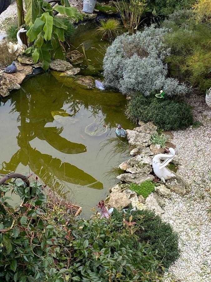 La Maison Du Bonheur Saintry-sur-Seine Exteriör bild